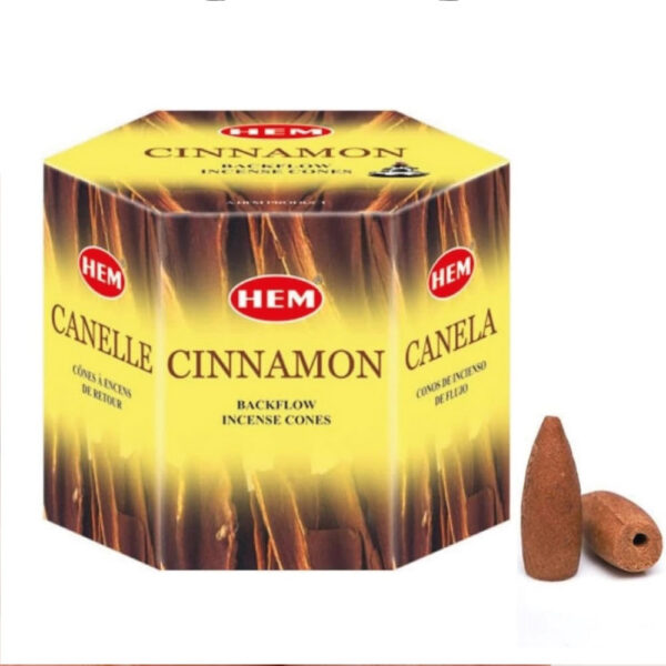 Incienso Hem Cono de Canela 40und
