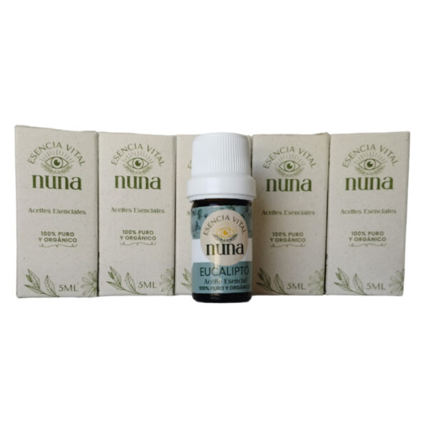 Aceite Esencial De Eucalipto 5ml - Image 2