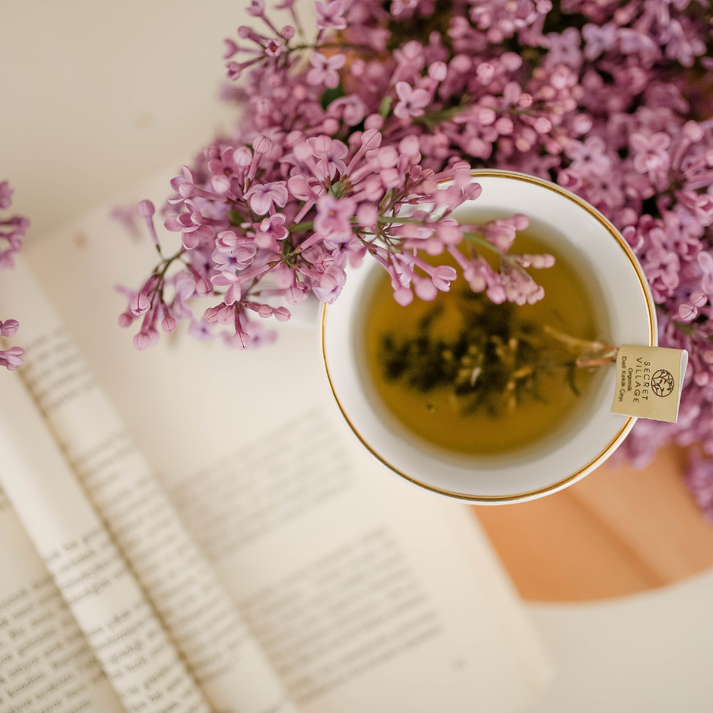 Infusiones y tisanas